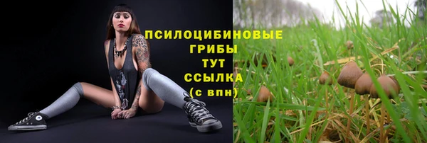 меф Богданович