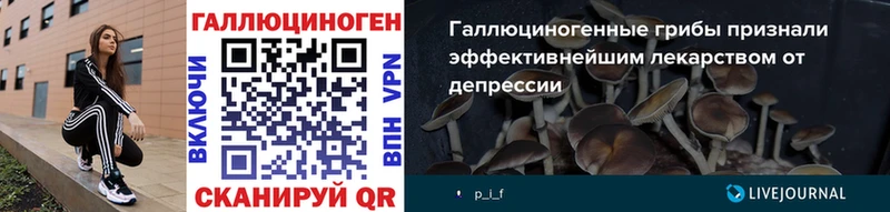 Псилоцибиновые грибы Cubensis  продажа наркотиков  Ярцево 
